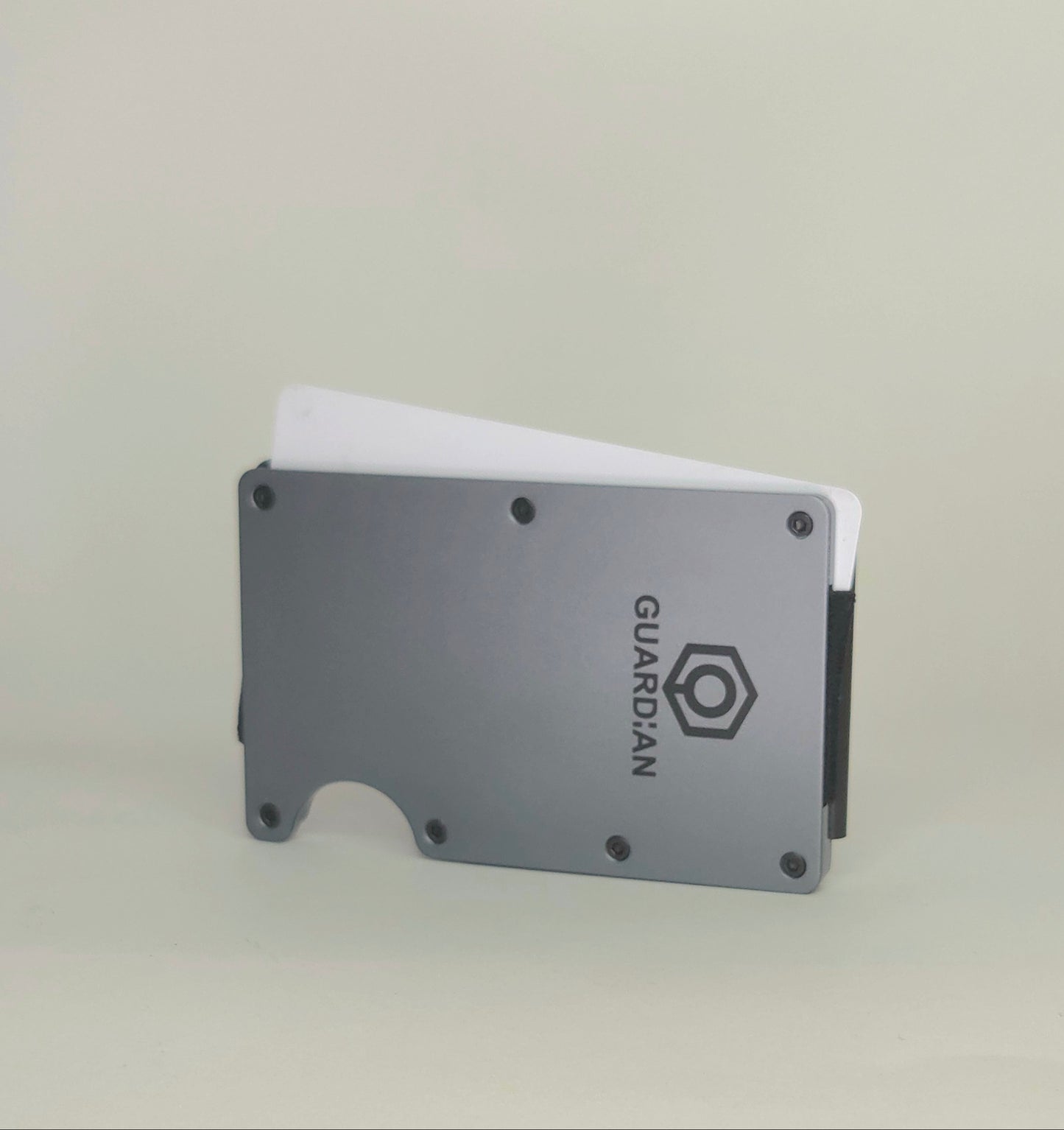 CARTERA GUARDIAN - GUARDIAN