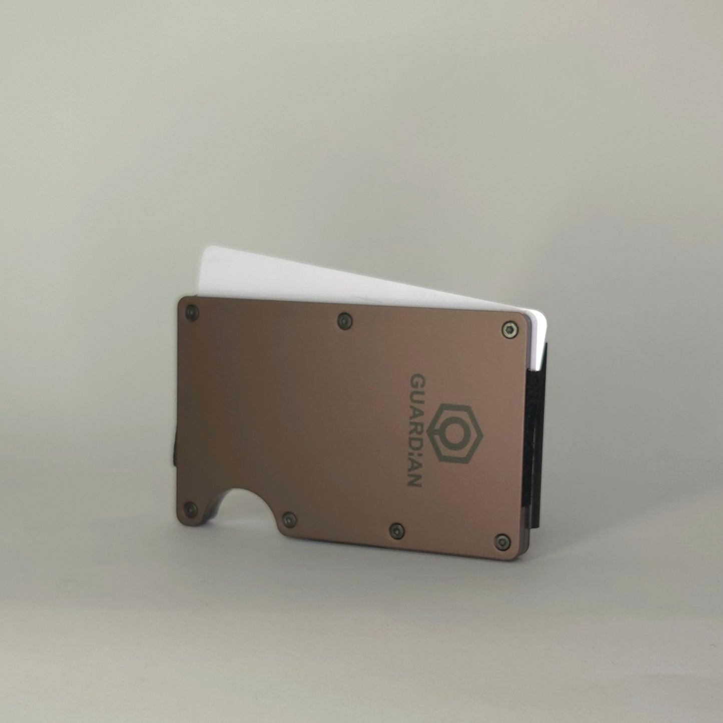 CARTERA GUARDIAN - GUARDIAN