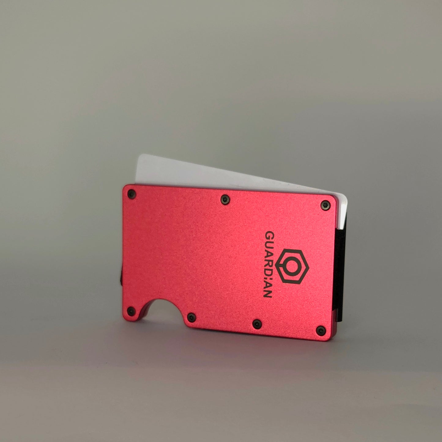 CARTERA GUARDIAN - GUARDIAN