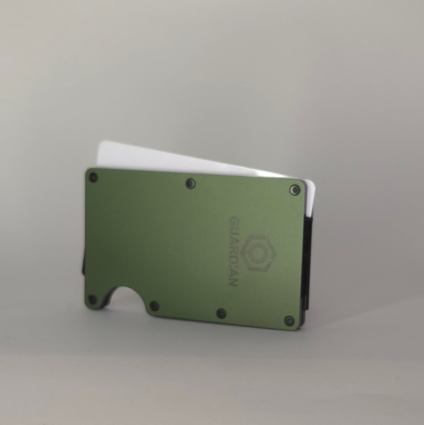 CARTERA GUARDIAN - GUARDIAN