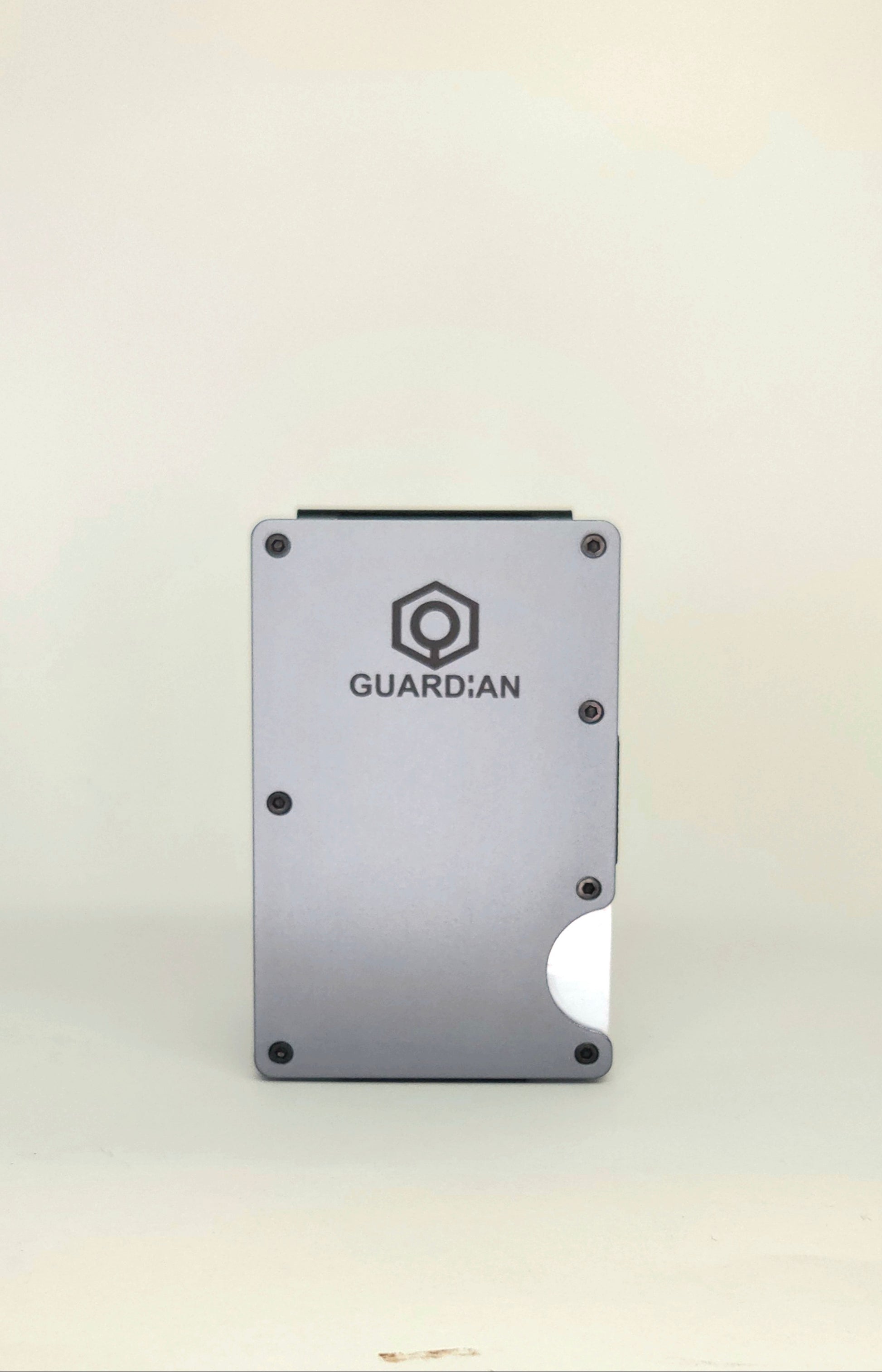 CARTERA GUARDIAN - GUARDIAN
