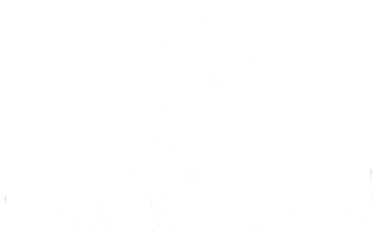 GUARDIAN